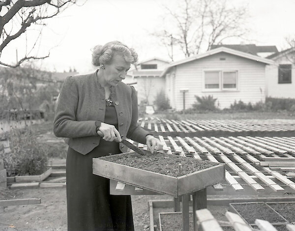 Helene Wolf, Foto: Kent 1949, Hayward Area Historical Society